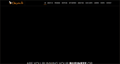 Desktop Screenshot of chrysalis.net.in